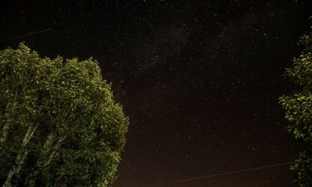A San Pietro al Monte a vedere le stelle cadenti