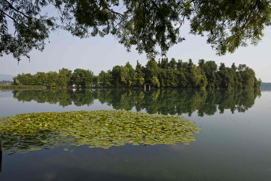 A Novembre nuovi appuntamenti su lago di Pusiano: destinazione “Isola dei Cipressi”