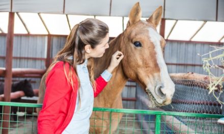 Ottobre di eventi per il WWF di Lecco: tutti gli appuntamenti