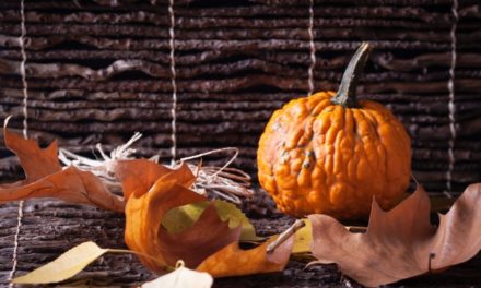 La libreria “Birbantana” di Lecco festeggia Halloween: un pomeriggio alla ricerca di zucche birbanti