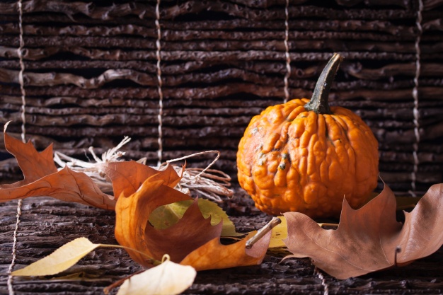 La libreria “Birbantana” di Lecco festeggia Halloween: un pomeriggio alla ricerca di zucche birbanti