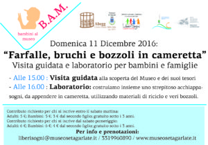 bam-farfalle-bruchi-bozzoli