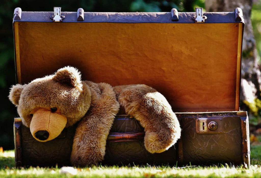 orso-luggage-1650174