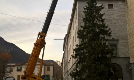 FOTO | Natale in centro Lecco, ci siamo! Ecco l’albero di Piazza Garibladi