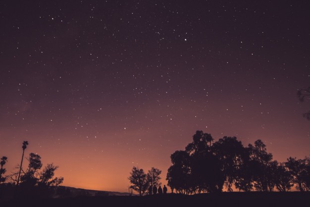 Planetario di Lecco: torna il fantastico campus di Astronomia per bambini!