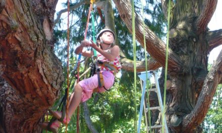 Riapre il Parco Avventura dei “Resinelli”: domenica 26 marzo un evento imperdibile per i bambini!