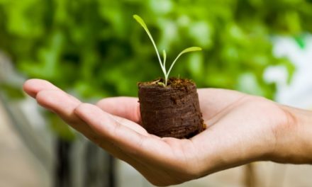 Valgreghentino, la giornata del “Verde Pulito” propone un laboratorio di riciclo e la piantumazione di alberi