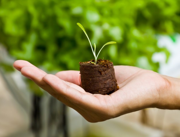 Valgreghentino, la giornata del “Verde Pulito” propone un laboratorio di riciclo e la piantumazione di alberi