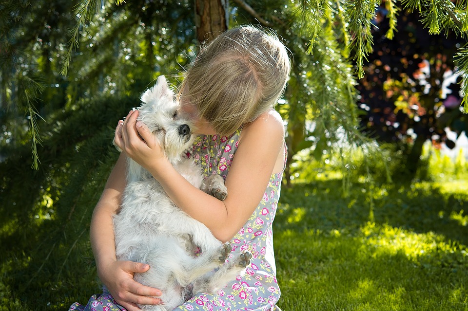 COME UN CANE PUÒ MIGLIORARTI LA VITA: VEDIAMO QUALI SONO I BENEFICI DI AVERE UN CANE IN FAMIGLIA