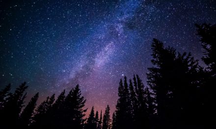 PLANETARIO DI LECCO, “ALLA SCOPERTA DEL CIELO CON IL PICCOLO PRINCIPE”