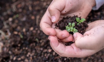 CARIMATE, IL PICCOLO GIARDINIERE, TRA TERRA E SEMI