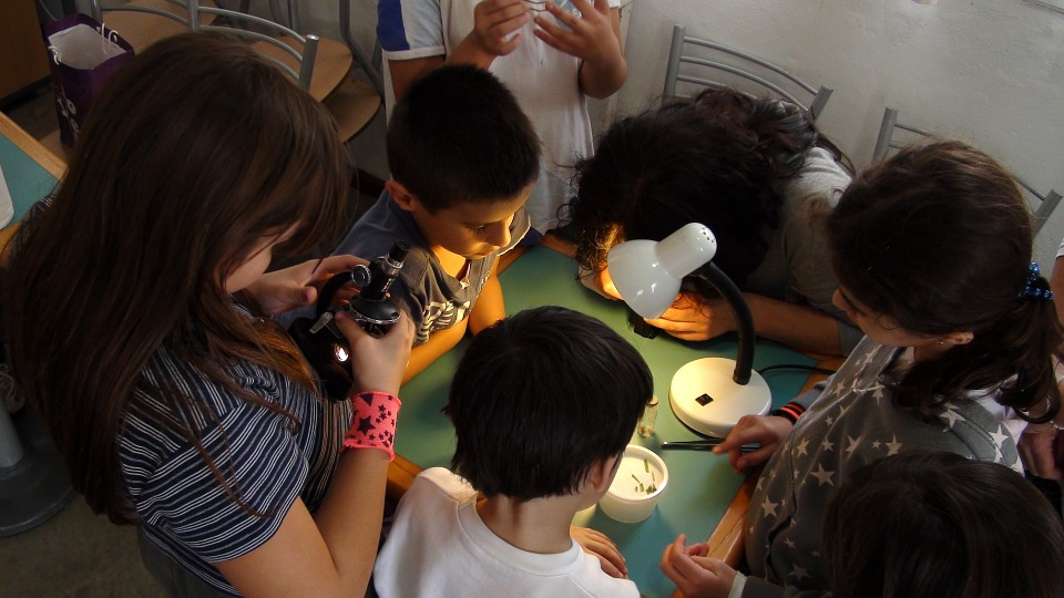 MUSEO DELLA SETA DI GARLATE “SCIENZIATI PER UN GIORNO”