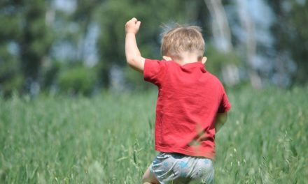 CIVATE, SAN PIETRO AL MONTE: PERCORSO NEL BOSCO PER GRANDI E BAMBINI