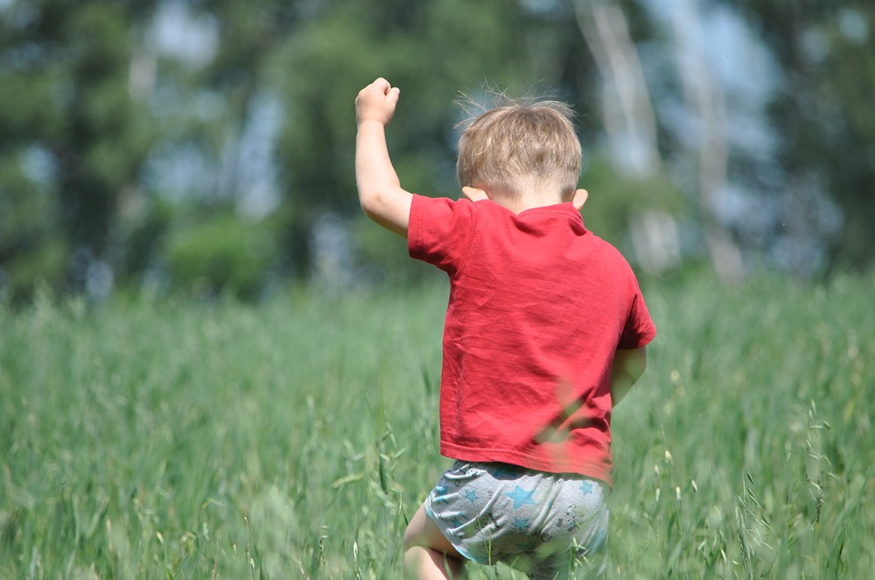 PARCO DEL MONTE BARRO: DUE ESCURSIONI IN PROGRAMMA, PER GRANDI E BAMBINI