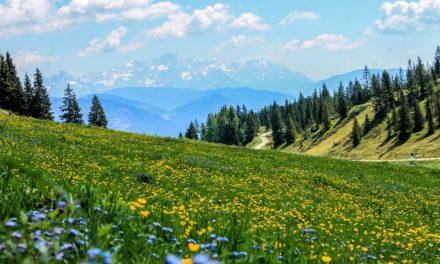 ALTRO FESTIVAL VALMALENCO: EVENTO A STRETTO CONTATTO CON L’AMBIENTE