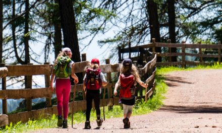 MONTE DI BRIANZA: GIORNATA DEDICATA ALLA SCOPERTA DELLA FAUNA DEL BOSCO