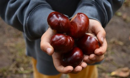 COLLE BRIANZA, FESTA DELLA BUROLLA: CIBO E DIVERTIMENTO PER TUTTA LA FAMIGLIA