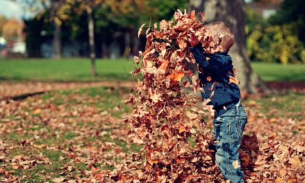 CALOLZIOCORTE, DOMENICHE IN NATURA: “NATURA MAESTRA DI VITA JUNIOR”