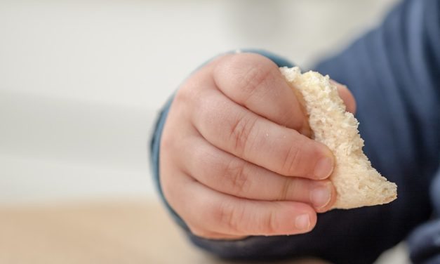 NIBIONNO “L’ARCA DI NOAH”: CORRETTA ALIMENTAZIONE E NUTRIZIONE 1-3 ANNI