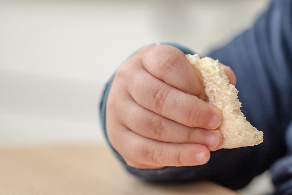 NIBIONNO “L’ARCA DI NOAH”: CORRETTA ALIMENTAZIONE E NUTRIZIONE 1-3 ANNI
