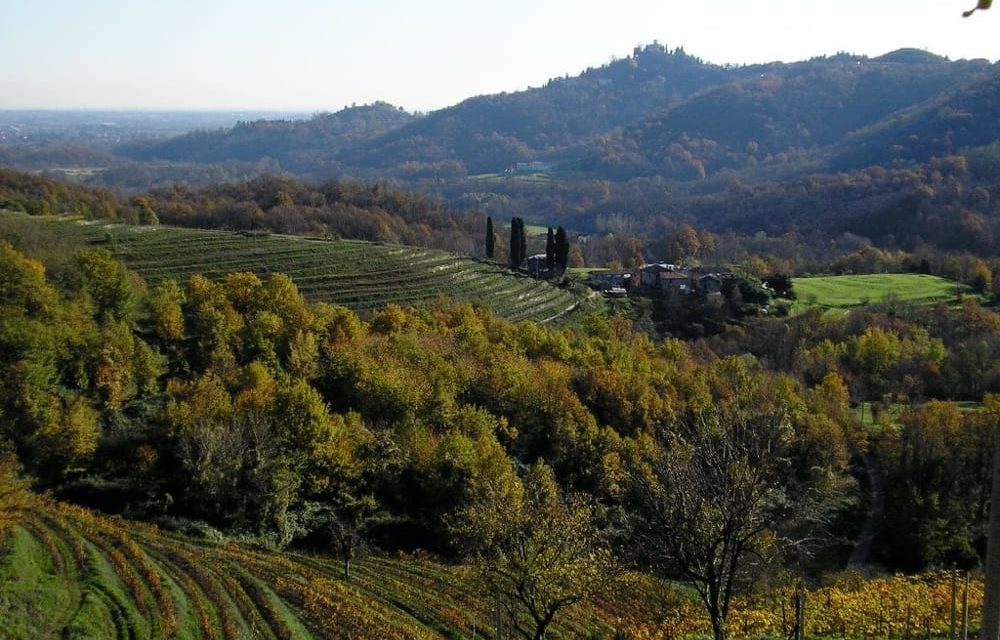 PARCO DI MONTEVECCHIA E DEL CURONE: OASI NATURALISTICA DI GRANDE BELLEZZA