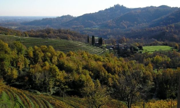 PARCO DI MONTEVECCHIA E DEL CURONE: OASI NATURALISTICA DI GRANDE BELLEZZA
