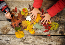 La magia del bosco di autunno