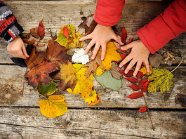 La magia del bosco di autunno