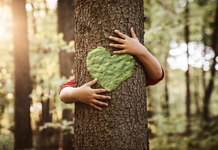 Una giornata tra alberi e storie