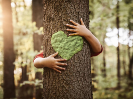 Una giornata tra alberi e storie