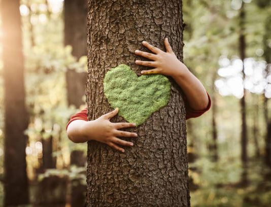 Una giornata tra alberi e storie