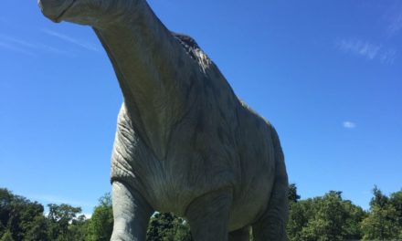 Provato per voi | “Dinosauri in carne e ossa” al Parco di Monza